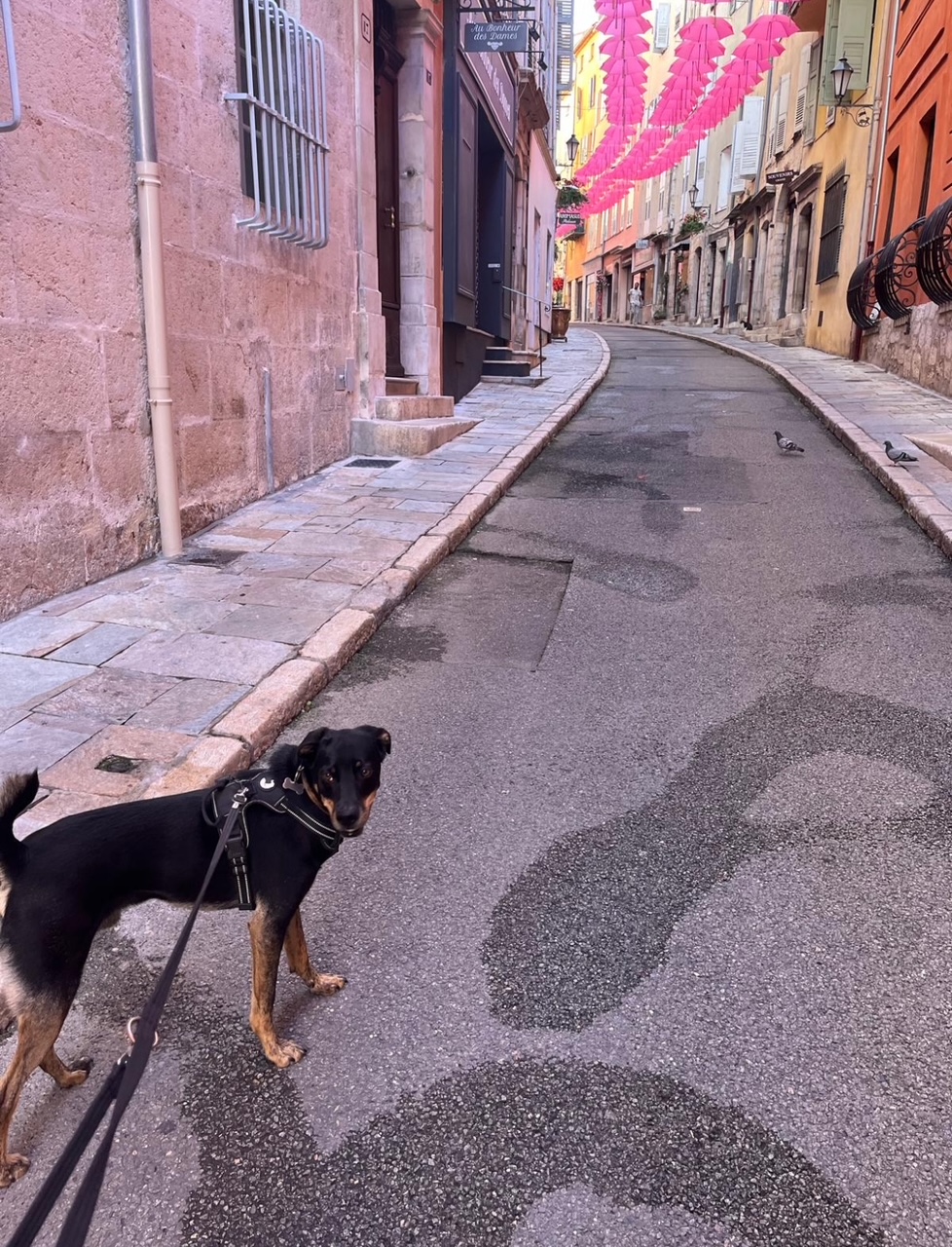 Je vous présente&nbsp;Bounty!